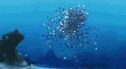 finding nemo pixar gif GIF by Disney Pixar