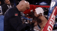toprank fight boxing fighting espn GIF