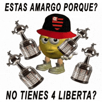 Futebol Libertadores GIF