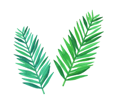 lisaparkeriillustration giphyupload summer illustration flower Sticker