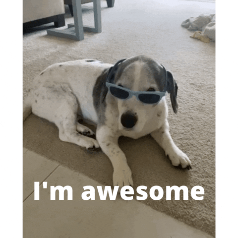 YourHappyWorkplace giphyupload sunglasses too cool your happy workplace GIF
