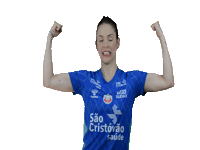 osascovoleibol volleyball volei osasco osascovoleibolclube Sticker