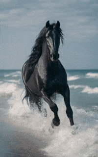 EsraEdits horse esra ai edits GIF