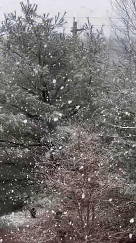 'Beautiful' Snowflakes Fall in Nova Scotia