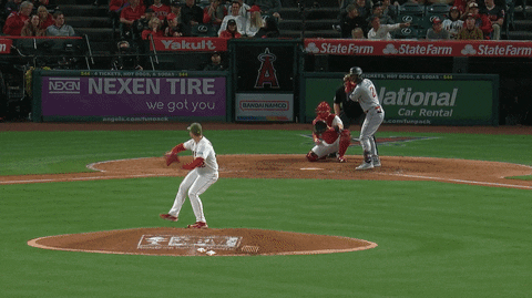 bclemens6 giphyupload GIF