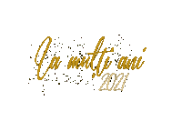 New Year Fireworks Sticker