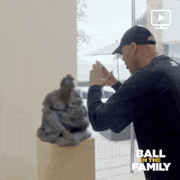 ballinthefamily season 4 facebook watch episode 23 ball in the family GIF