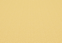 Bitcoin Crypto GIF by RGT Cycling