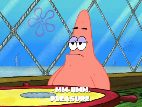 season 8 episode 6 GIF by SpongeBob SquarePants