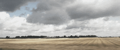 driving france GIF by scenes