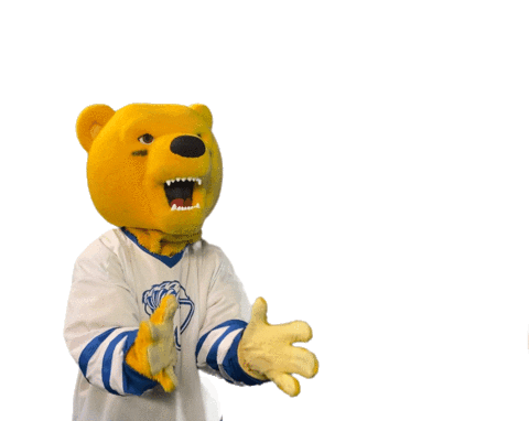Bear Volleyball Sticker by Western New England University