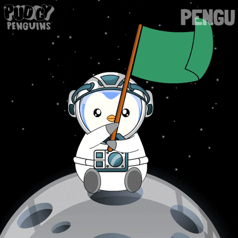 To The Moon Space GIF by Pudgy Penguins
