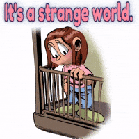 No Way What GIF by Elnaz  Abbasi