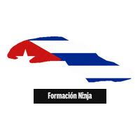 Flag Bandera Sticker by Formación Ninja