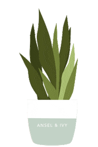 plants leaves Sticker by Ansel & Ivy