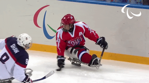 Ice Hockey GIF by International Paralympic Committee