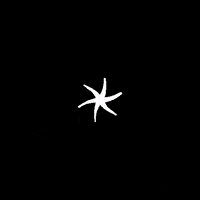 Estrella Somosup GIF by UP