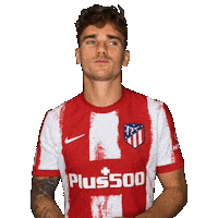 France Happy Dance Sticker by Atlético de Madrid