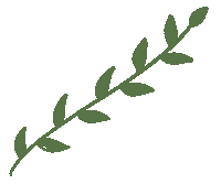 Flower Spring Sticker