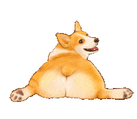 Dog Corgi Sticker