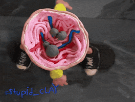 stupid_clay animation skating ollie claymation GIF