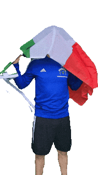 Devoetbalacademie Sticker by DVA