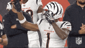 National Football League GIF by NFL