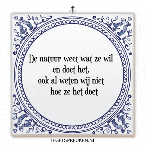 Humor Wonder GIF by Tegelspreuken.nl