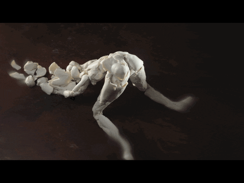 NŒVUS GIF by samuelyal