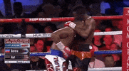 toprank fight boxing fighting espn GIF