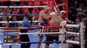 toprank fight boxing fighting espn GIF