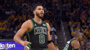 Nba Playoffs Sport GIF by NBA