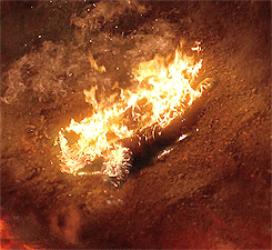 george lucas GIF