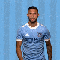 Major League Soccer Mls GIF by NYCFC