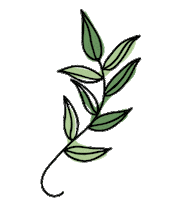 Minimalist Marianitelli Sticker