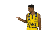 Ewe Baskets Basketball Sticker by EWE Baskets Oldenburg