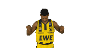 Ewe Baskets Basketball Sticker by EWE Baskets Oldenburg