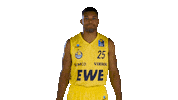 Ewe Baskets Sport Sticker by EWE Baskets Oldenburg