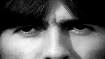 the beatles art GIF by hoppip
