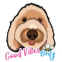 Golden Doodle Sticker by Neat Pets Mementos