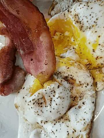 breakfast thought GIF