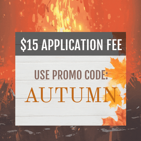 TowneProperties giphyupload GIF