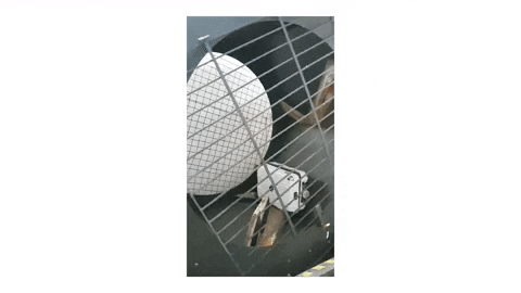 travelcase giphyupload GIF