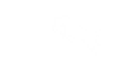 Twohearts_Equestrian giphyupload horse equestrian pferd Sticker