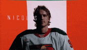 Gowild GIF by Iowa Wild