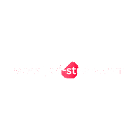 Janistudio website jani studio ansar jani Sticker