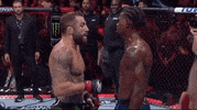 Mixed Martial Arts Sport GIF by UFC
