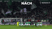 dance celebrate GIF by SV Werder Bremen