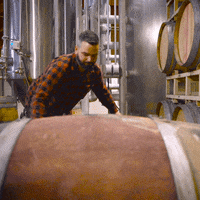 apple cider GIF by Angry Orchard