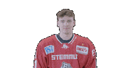 Hockey Family Sticker by Eisbären Regensburg